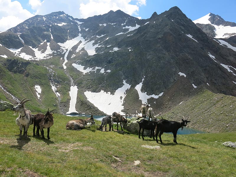 Mairspitze